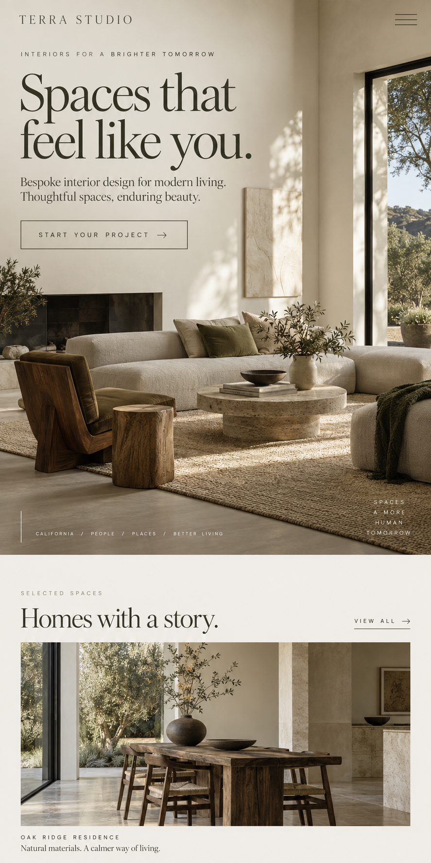 TERRA STUDIO mobile website design concept